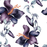 Watercolor pattern of dark purple lily flower. Gothic floral seamless pattern hand drawn. Gothic Wedding background in vintage style. Design for textile, backdrop, package, paper. png