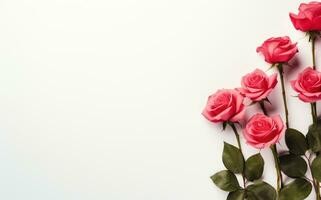 AI Generated Pink roses on white with copy space photo