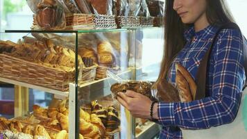 tondu coup de une femelle client examiner pack de biscuits à le boulangerie video