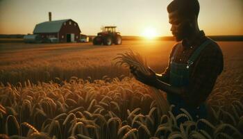 un granjero es representado en un campo lleno con trigo durante el sereno atardecer.. generativo ai foto