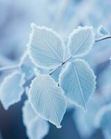 A minimalist take on winter's beauty, showcasing frozen leaves on a plant.. Generative AI photo