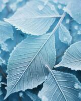 A minimalist take on winter's beauty, showcasing frozen leaves on a plant.. Generative AI photo