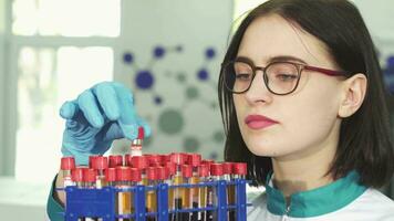 Young female researcher examining test tubes with blood samples video