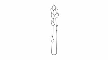 Animation forms a sketch of an asparagus stem icon video