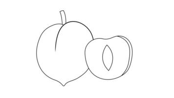 Animation forms a sketch of a peach icon video