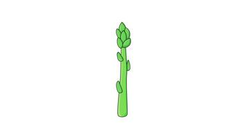 animated video forming an asparagus stem icon