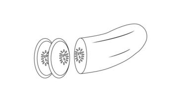 Animation forms a sketch of a piece of cucumber icon video