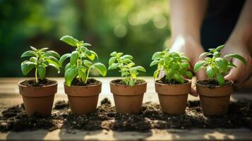 Small potted plants under sunlight.. Generative AI photo