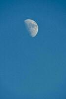 Moon on blue sky photo
