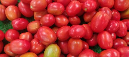 tomato background and texture fresh from market photo