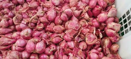 this is shallot, it can be used for medicinal products or food made from this shallot photo
