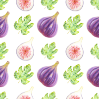 Hand drawn watercolor pattern with figs and fig leaves on the transparent background. Seamless textile pattern with figs. png