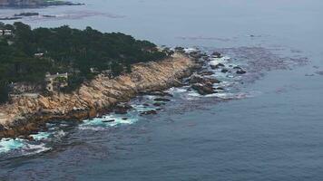 rochoso escarpado oceano praia, grande mar ondas falhando em costa, Monterey 17 milhas dirigir, Califórnia costa, EUA. água espirrando dentro pacífico Arvoredo, beira-mar beira-mar passeio, orla parque seascape. video