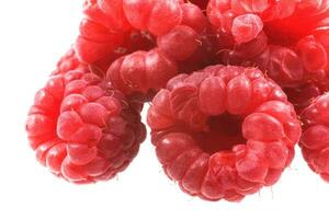 raspberry  on wite photo