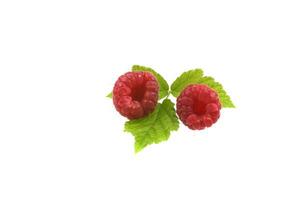 raspberry  on wite photo