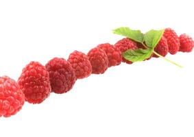 raspberry  on wite photo