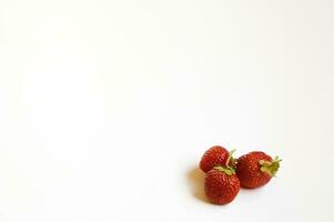 strawberries  on wite photo