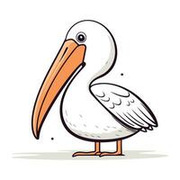 Pelican vector illustration. Cartoon pelican isolated on white background.