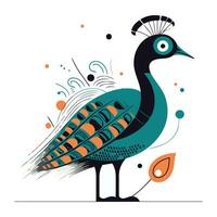 Peacock. Hand drawn vector illustration isolated on white background.