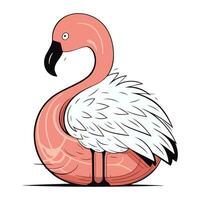 Flamingo. Vector illustration. Isolated on white background.