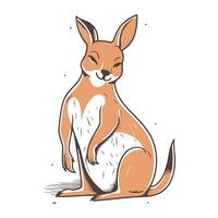 Kangaroo vector illustration. Hand drawn cartoon kangaroo.