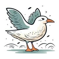 Vector illustration of a flying seagull on a white background.
