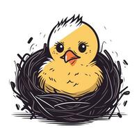 Illustration of a chick in a nest on a white background. vector