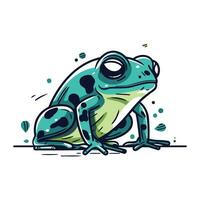 Frog. Vector illustration. Isolated on a white background.