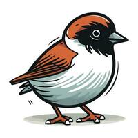 Sparrow. Vector illustration of a bird on a white background.