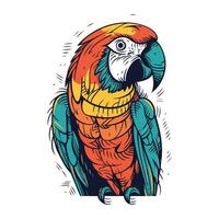 Colorful macaw parrot isolated on white background. Vector illustration.