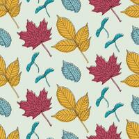 Hand drawn seamless pattern with various types of leaves - maple, ash, elm and maple seeds. Vector illustration in six colors for textile printing, wrapping paper, wallpaper, notebooks.