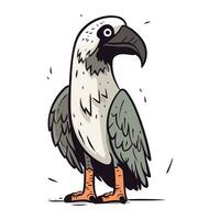 Griffon vulture. Vector illustration of a griffon vulture.