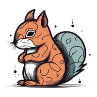 Squirrel. Vector illustration of a squirrel. Hand drawn squirrel.