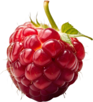 AI generative,Raspberry fruit, Fresh raspberries png