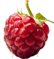 ai génératif,framboise fruit, Frais framboises png