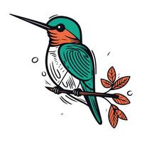 Cute hummingbird sitting on a branch with leaves. Vector illustration.