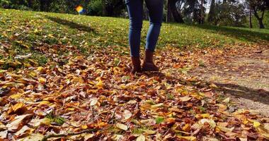 jong vrouw wandelen over- herfst gebladerte video