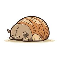 Cute little tortoise sleeping. Vector illustration in cartoon style.