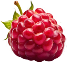 AI generative,Raspberry fruit, Fresh raspberries png