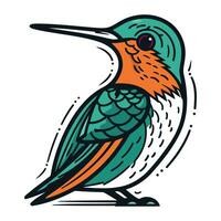Colibri bird. Hand drawn vector illustration in cartoon style.