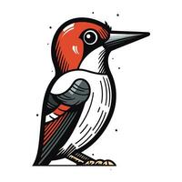 Hand drawn vector illustration of a woodpecker. Isolated on white background.