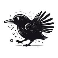 Black crow isolated on white background. Vector illustration for your design.
