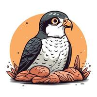 Peregrine falcon sitting on a nest. Vector illustration.