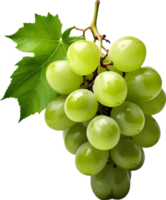 Grape fruit, Fresh grapes, Ripe grapes, Juicy grapes AI generative png