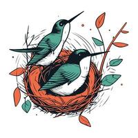 Hummingbirds in nest. Hand drawn vector illustration in sketch style.