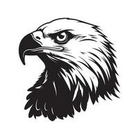 Eagle Head Vector Image, Art and Design