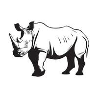 Rhinocreos Vector Image, Design And Illustration