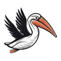 Pelican bird. Vector illustration of a pelican bird.