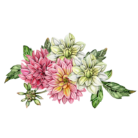 aquarelle dahlia fleurs composition. png