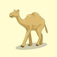 Illustration of Brown Desert Camel vector